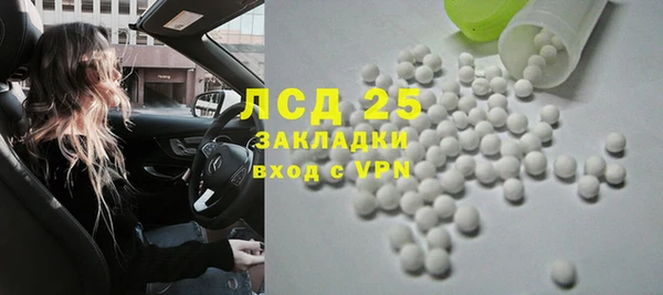 шишки Абаза