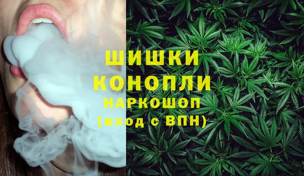 шишки Абаза