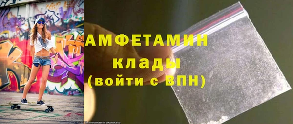 шишки Абаза