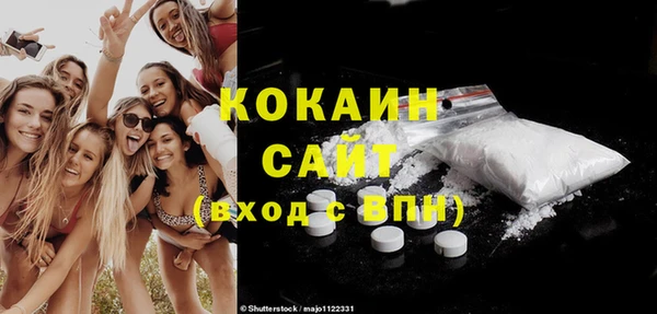 шишки Абаза
